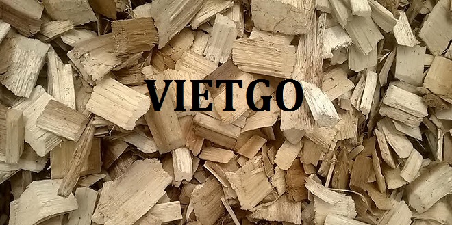 go-vun-vietnam-vietgo-roger