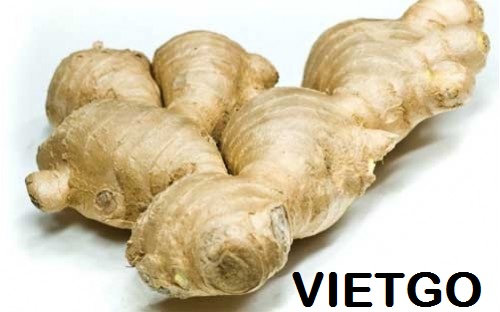 gừng