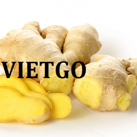 gung-vietgo-athar