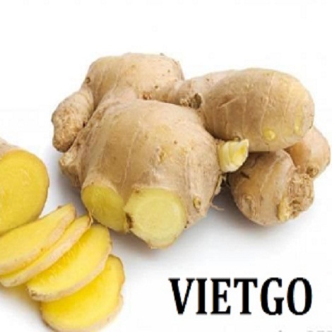 gung-vietgo-jaffar