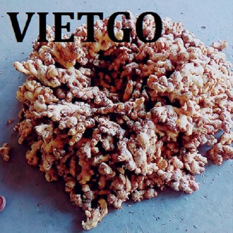 gung-vietgo-shar