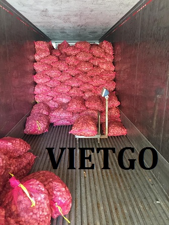 gung-vietgo-shar
