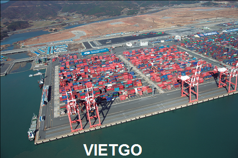bột sắn