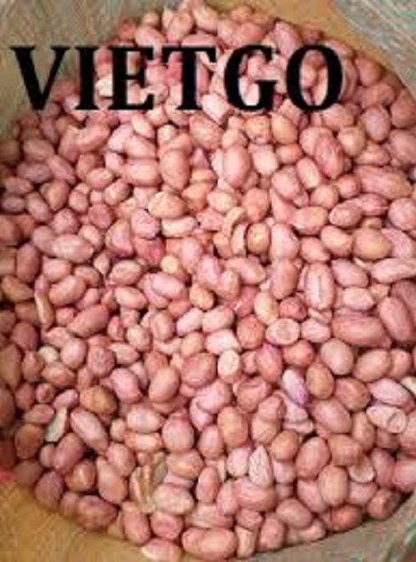HẠT ĐIỀU VÀ LẠC VIETGO