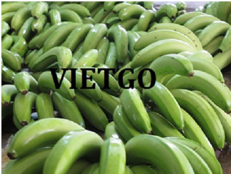 Chuối Xanh Vietgo Chuối Xanh Vietgo