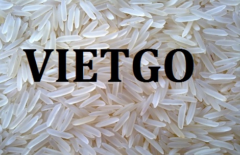 GẠO TRẮNG HẠT DÀI VIETGO