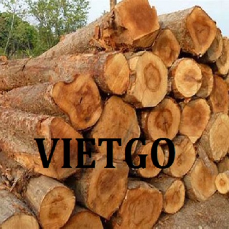 VIETGO-xuất khẩu gỗ teak tròn sang Ấn Độ