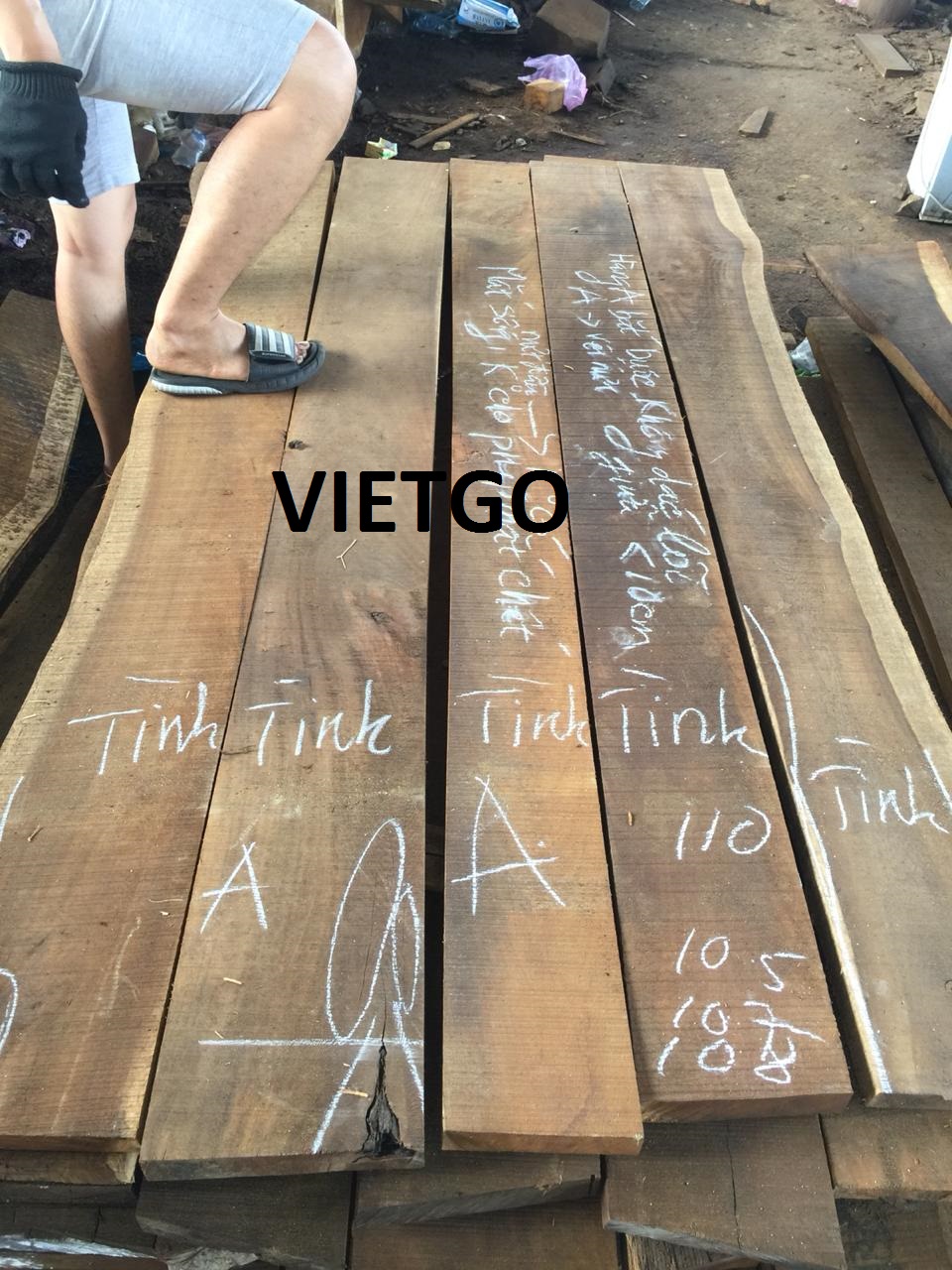 Gỗ Sồi Xẻ Vietgo