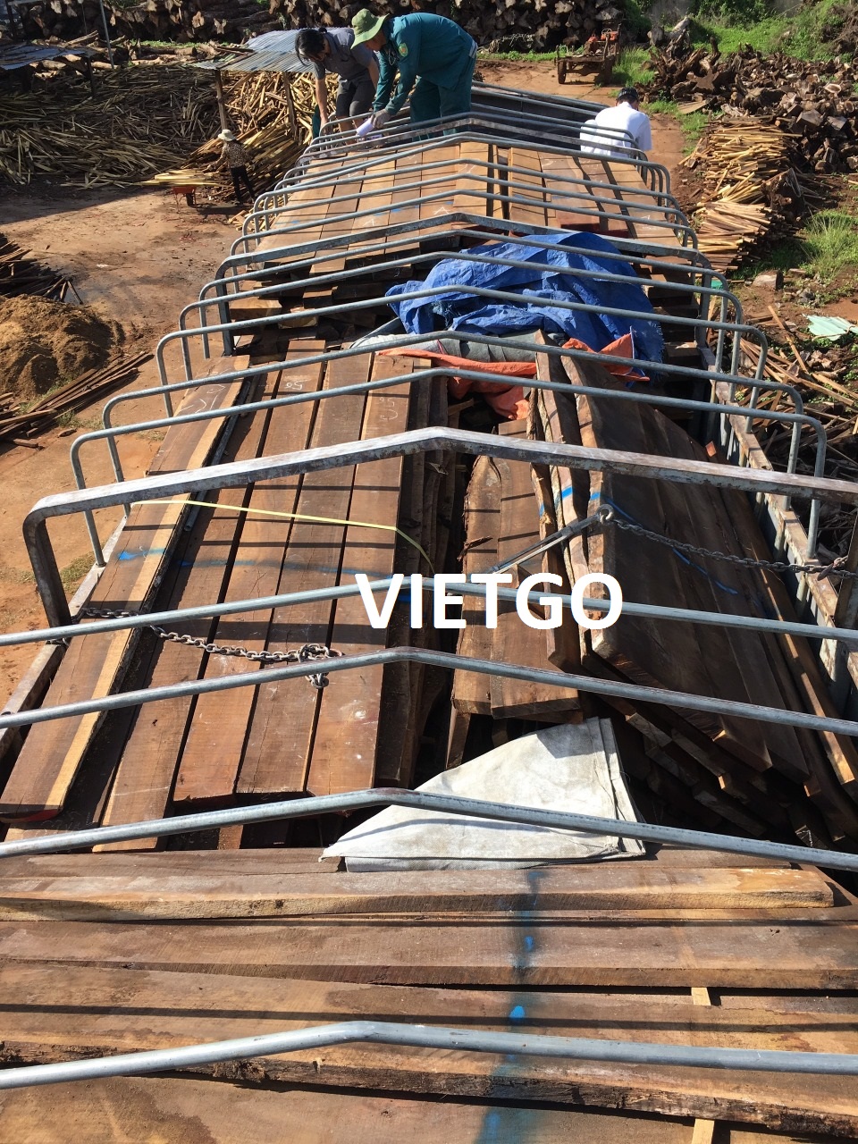 Gỗ Sồi Xẻ Vietgo