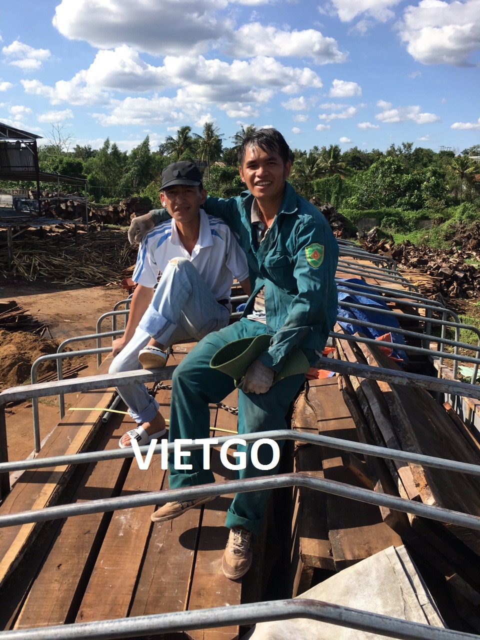 Gỗ Keo Xẻ Vietgo