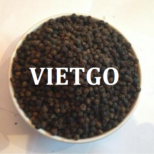 hangtonkhovietgo250219