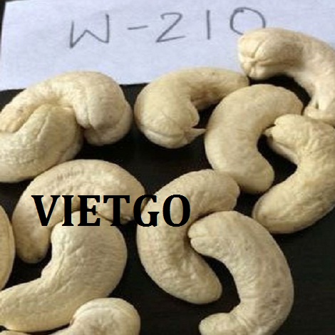 hat-dieu-vietgo-madhu