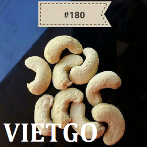 dieu-vietgo-sagiv