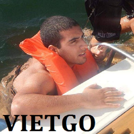 dieu-vietgo-sagiv