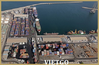 thanh long việt nam xuất khẩu