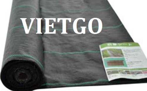 jacketvietgo010319