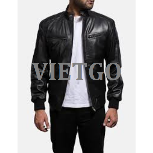 jacketvietgo250119