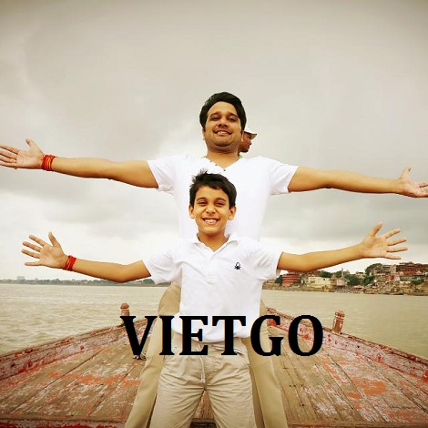 pallet-go-vietgo pallet-go-vietgo