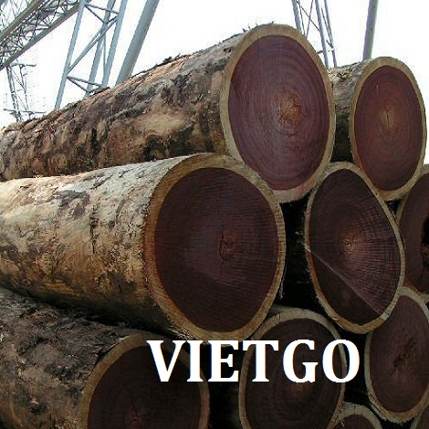 kesar-go-huong-vietgo