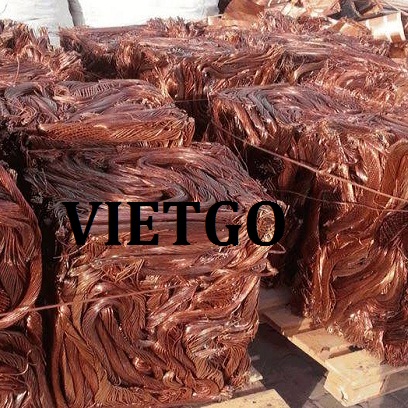 kevin-vietgo-dong2