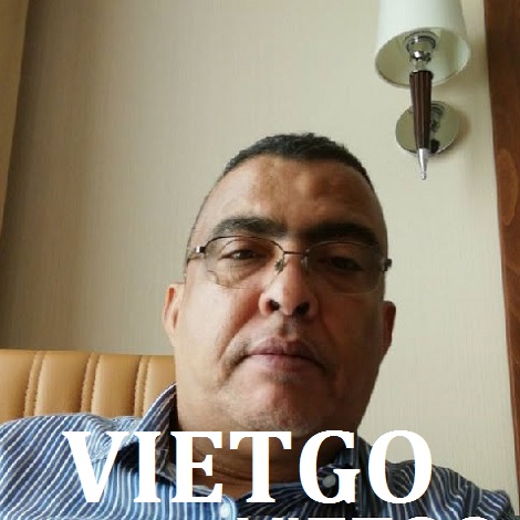 Gỗ dán phủ phim Vietgo