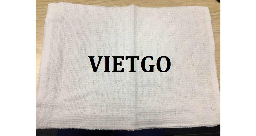khanvietgo250219