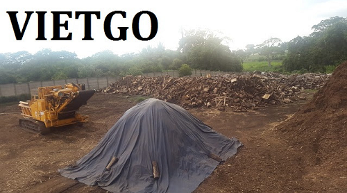 Gỗ bạch đàn vụn Vietgo