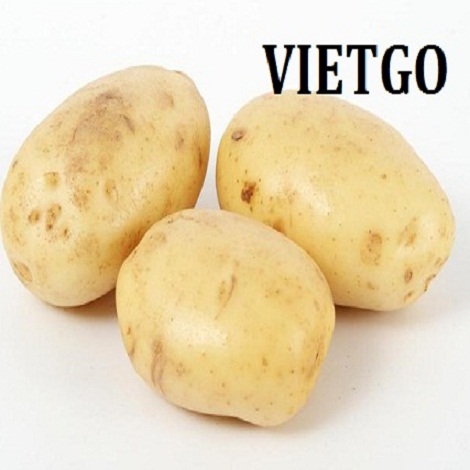 khoai-vietgo-kang