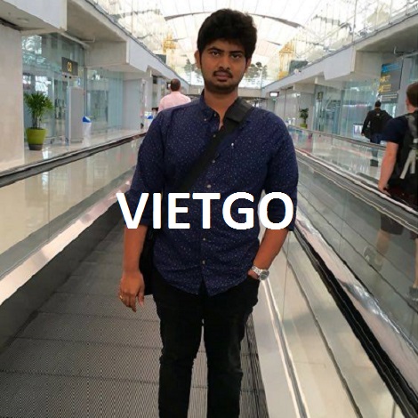 Gỗ keo ghép thanh Vietgo