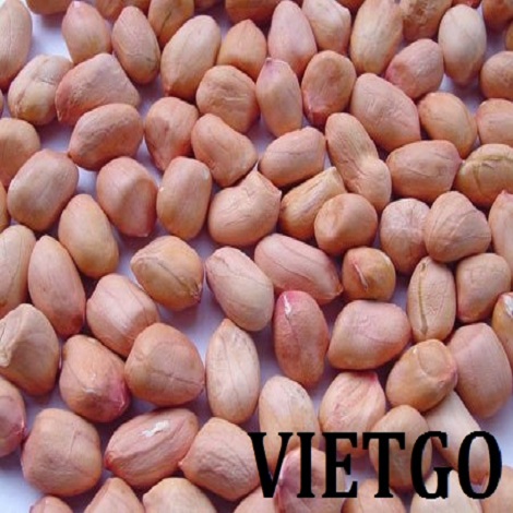 lac-nhan-vitgo-alana