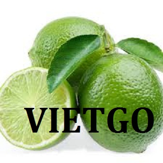 VIETGO-xuat-khau-chanh-Tho-Nhi-Ky-Bora VIETGO-xuat-khau-chanh-Tho-Nhi-Ky-Bora