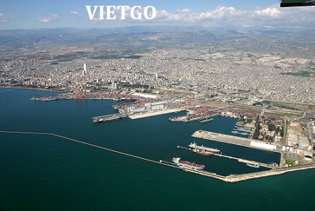 tiêu việt nam xuất khẩu