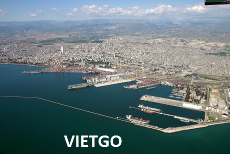 gừng việt nam xuất khẩu