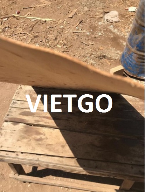 Ván bóc gỗ bạch dương Vietgo Ván bóc gỗ bạch dương Vietgo