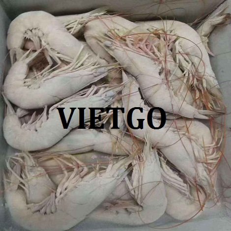 monica-vietgo-tom2