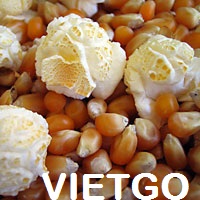 ngô việt nam xuất khẩu