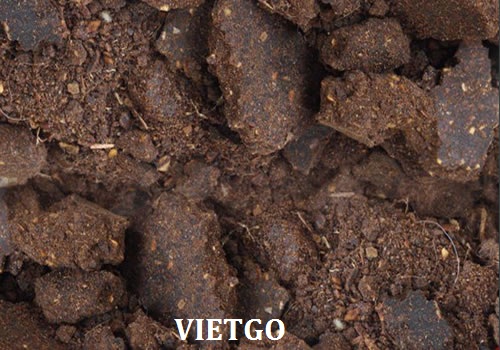 xuất khẩu hạt điều việt nam