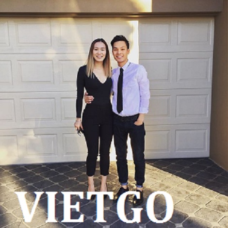 ngo-vietgo-andy