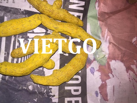 Nghệ Khô Vietgo