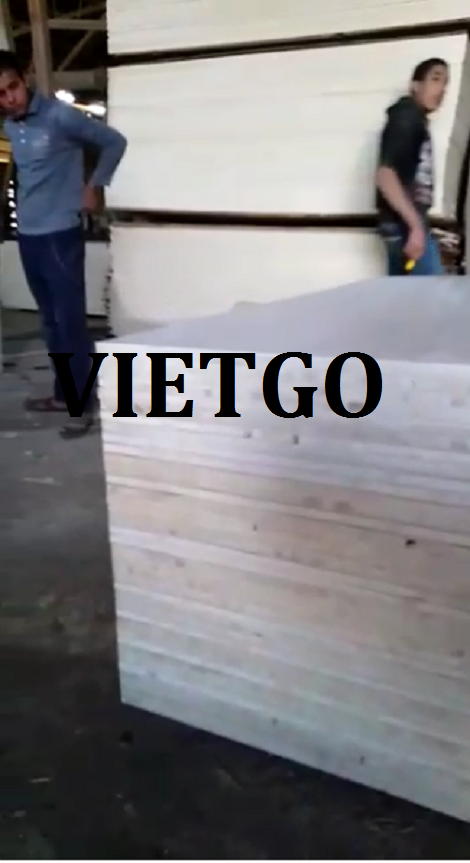 Ván bóc gỗ keo hoặc bạch đàn Vietgo