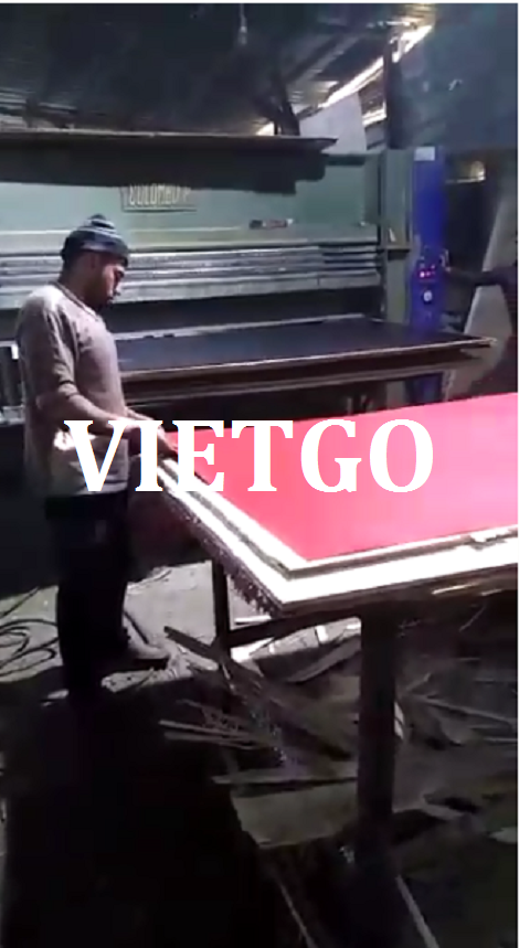 Ván bóc gỗ keo hoặc bạch đàn Vietgo