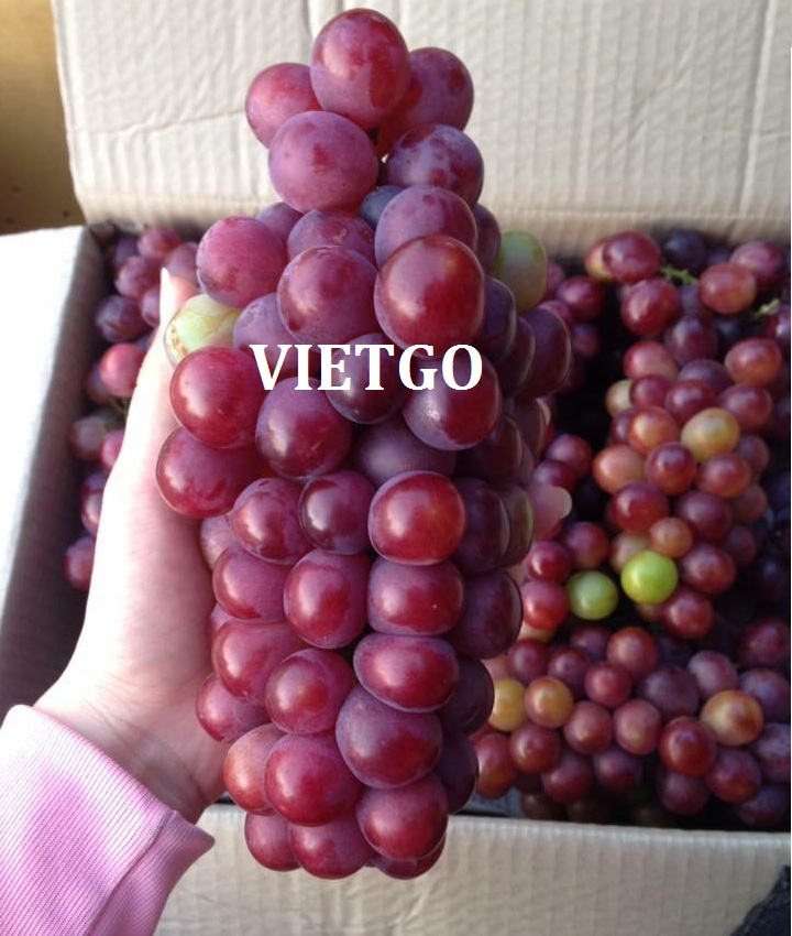 VIETGO-xuat-khau-hoa-qua-Oman VIETGO-xuat-khau-hoa-qua-Oman