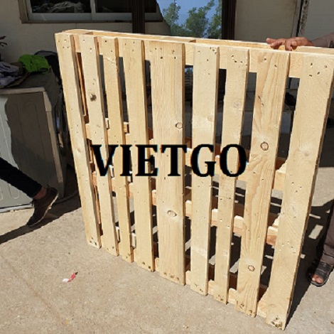 nielvietgopallet