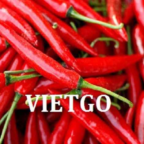 ot-vietgo-rizvi