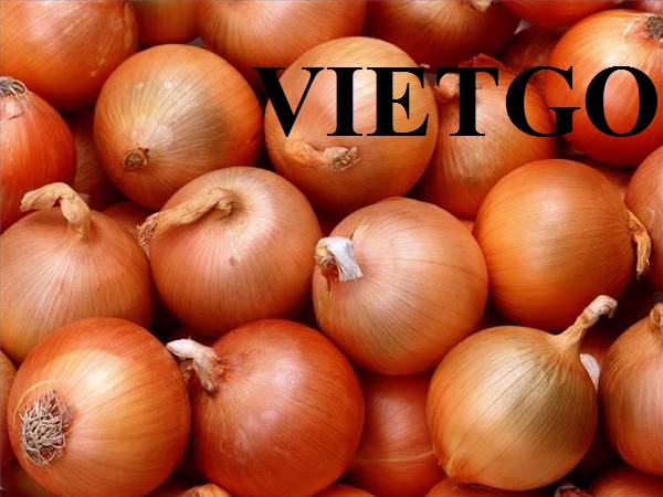 Vietgo-hanh- tay-xuat-khau-Albania