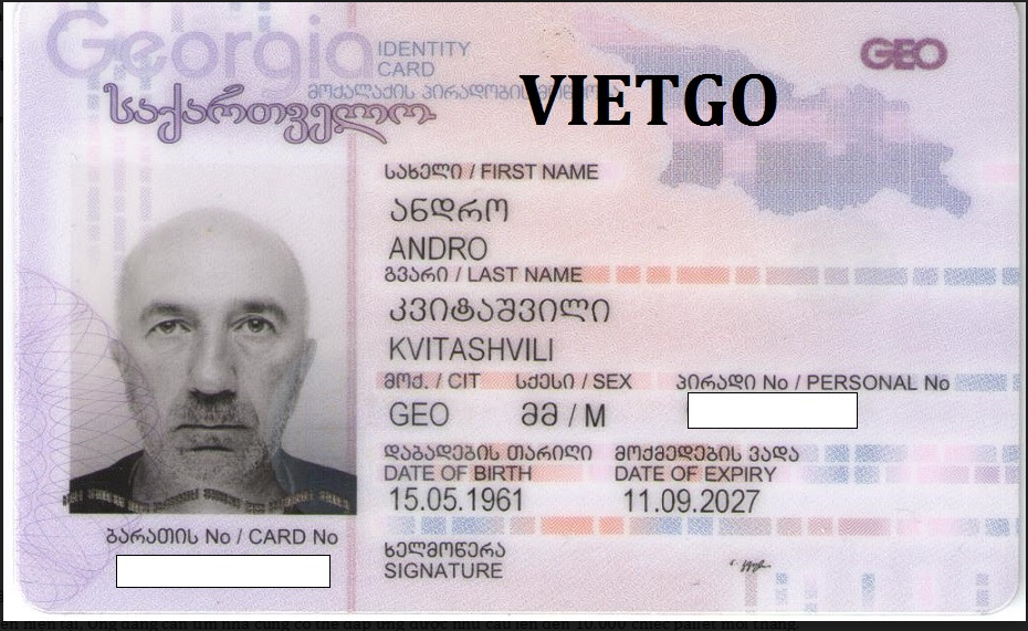 pallet-go-vietgo