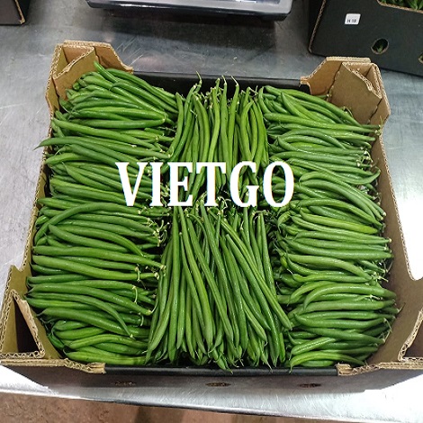 palletmostafavietgo