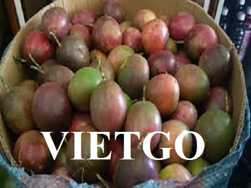 VIETGO-xuat-khau-gưng-toi-carrot-trai-cay-cac-loai-Maldives