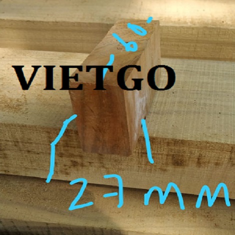 patelvietgothongxe