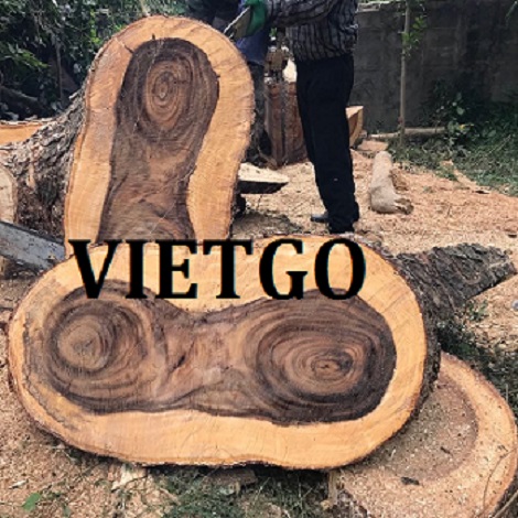 patelvietgowalnut